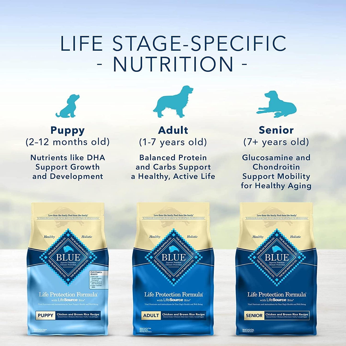 Blue Buffalo Life Protection Dog Food Chicken & Rice - 6.8 Kg - Dog Food - Blue Buffalo - PetMax Canada