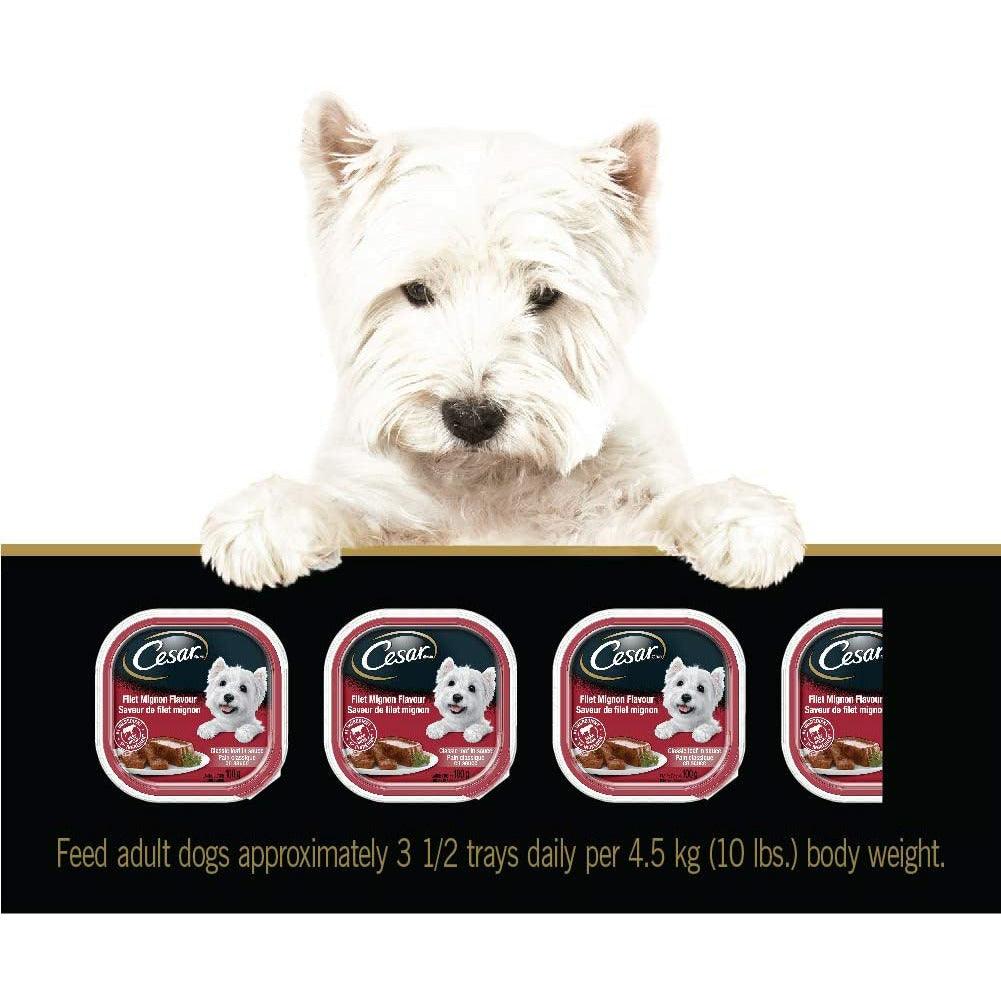 Cesar Classic Loaf in Sauce Filet Mignon Entrées Wet Dog Food - 100g - Canned Dog Food - Cesar - PetMax Canada