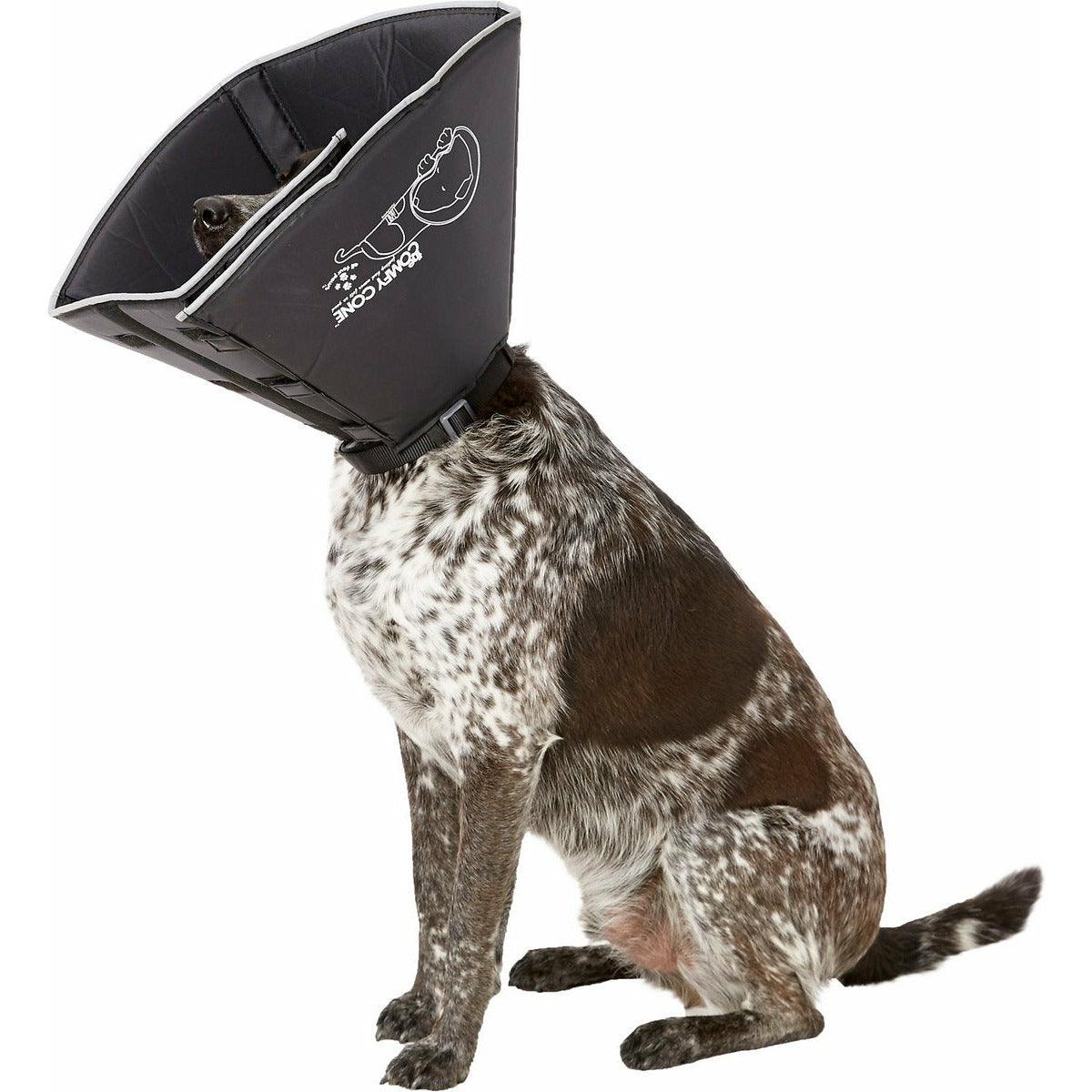 Comfy cone pets at home best sale