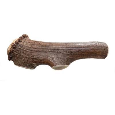 Dentler Whole Natural Deer Antler - Small - Antlers - Dentler Natural Chews - PetMax Canada