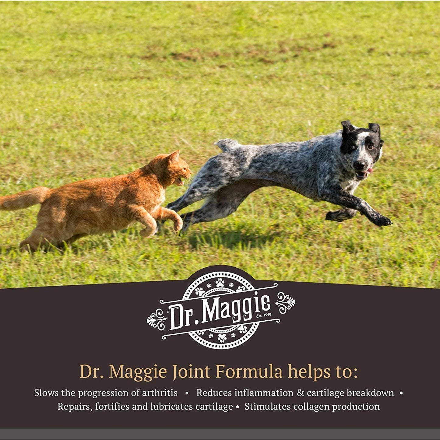 Dr. Maggie Joint Formula for Dogs and Cats with MSM, Glucosamine, and Chondroitin - 240 mL - Health Care - Dr. Maggie's - PetMax Canada