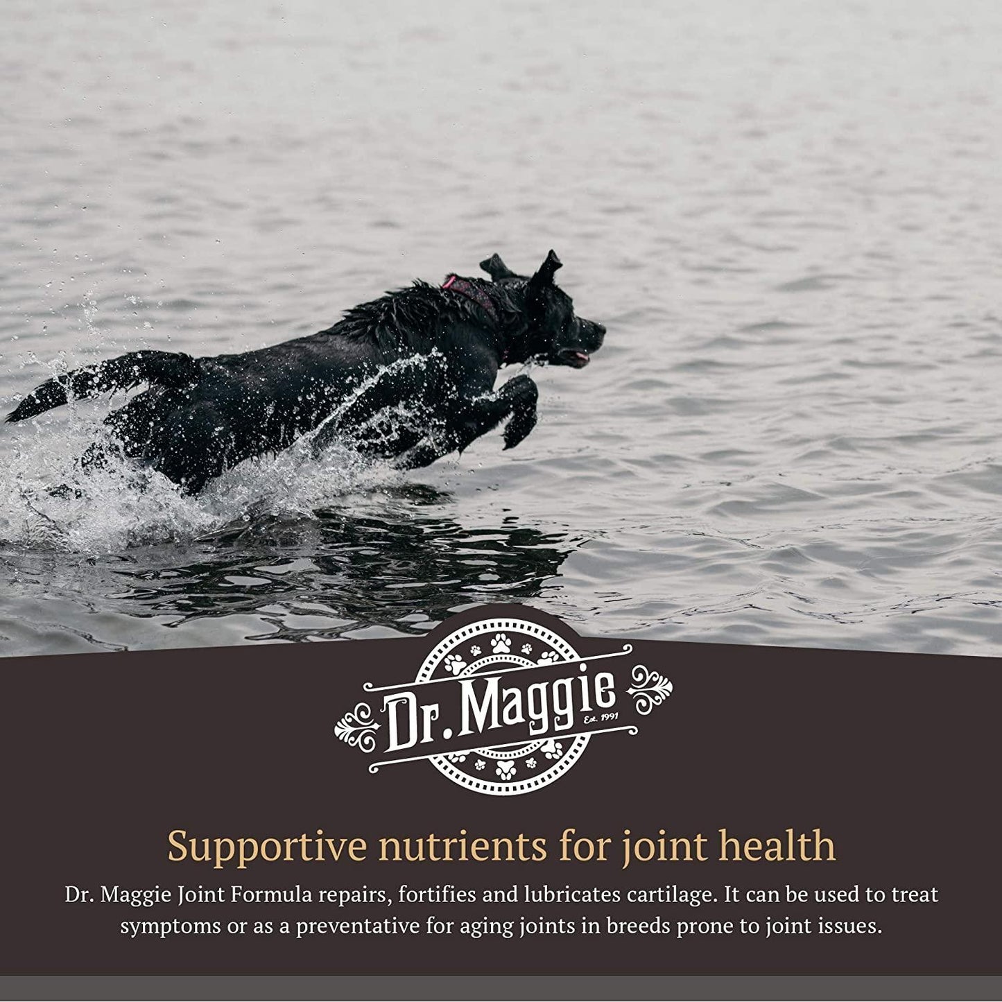 Dr. Maggie Joint Formula for Dogs and Cats with MSM, Glucosamine, and Chondroitin - 240 mL - Health Care - Dr. Maggie's - PetMax Canada