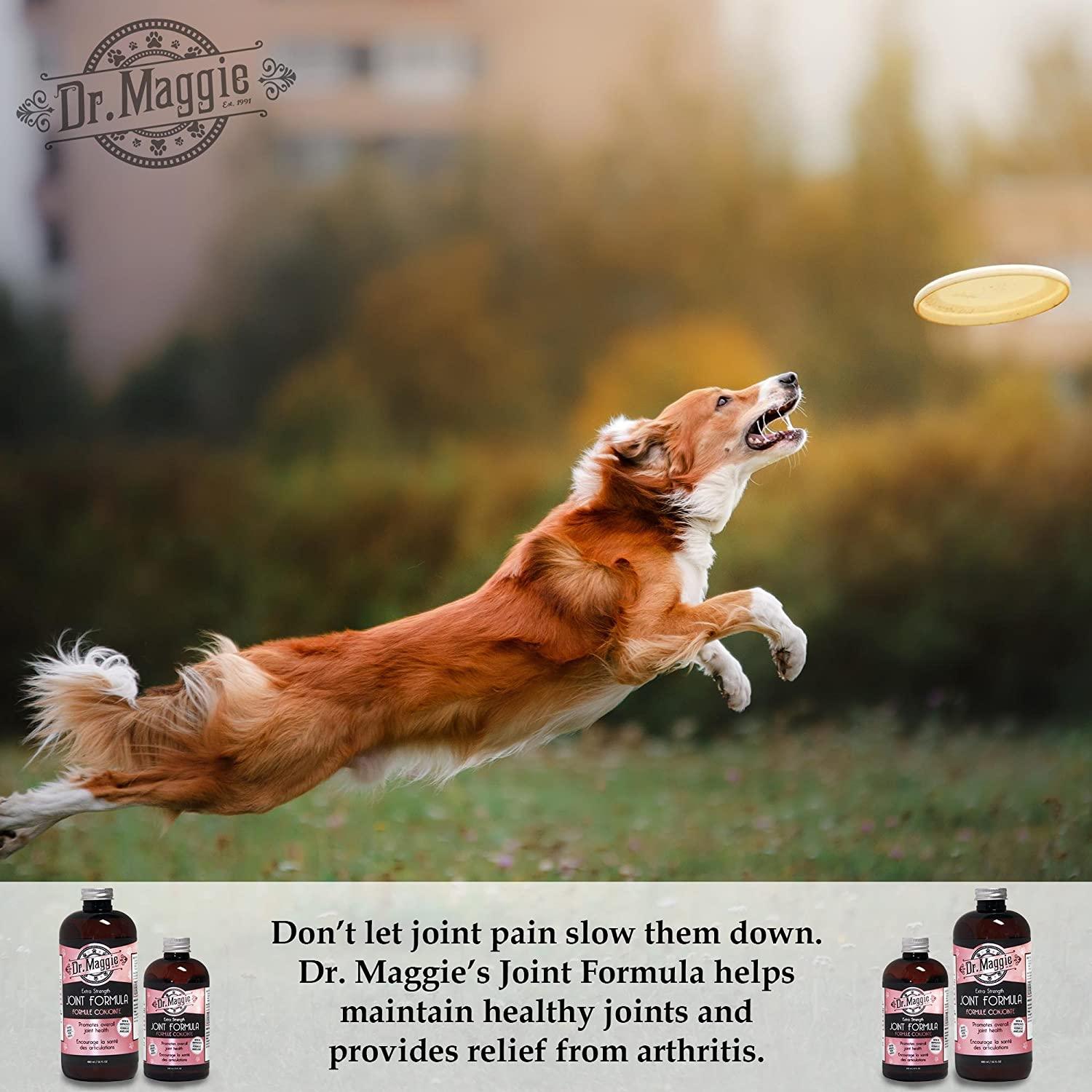 Dr. Maggie Joint Formula for Dogs and Cats with MSM, Glucosamine, and Chondroitin - 240 mL - Health Care - Dr. Maggie's - PetMax Canada