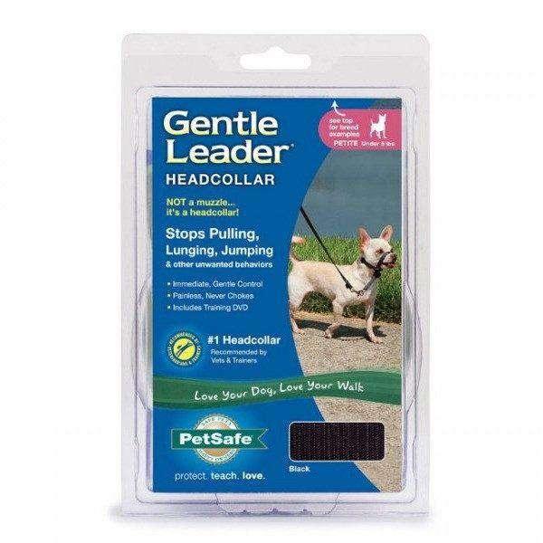 Gentle Leader - Small / Beige - Training Products - Gentle Leader - PetMax Canada