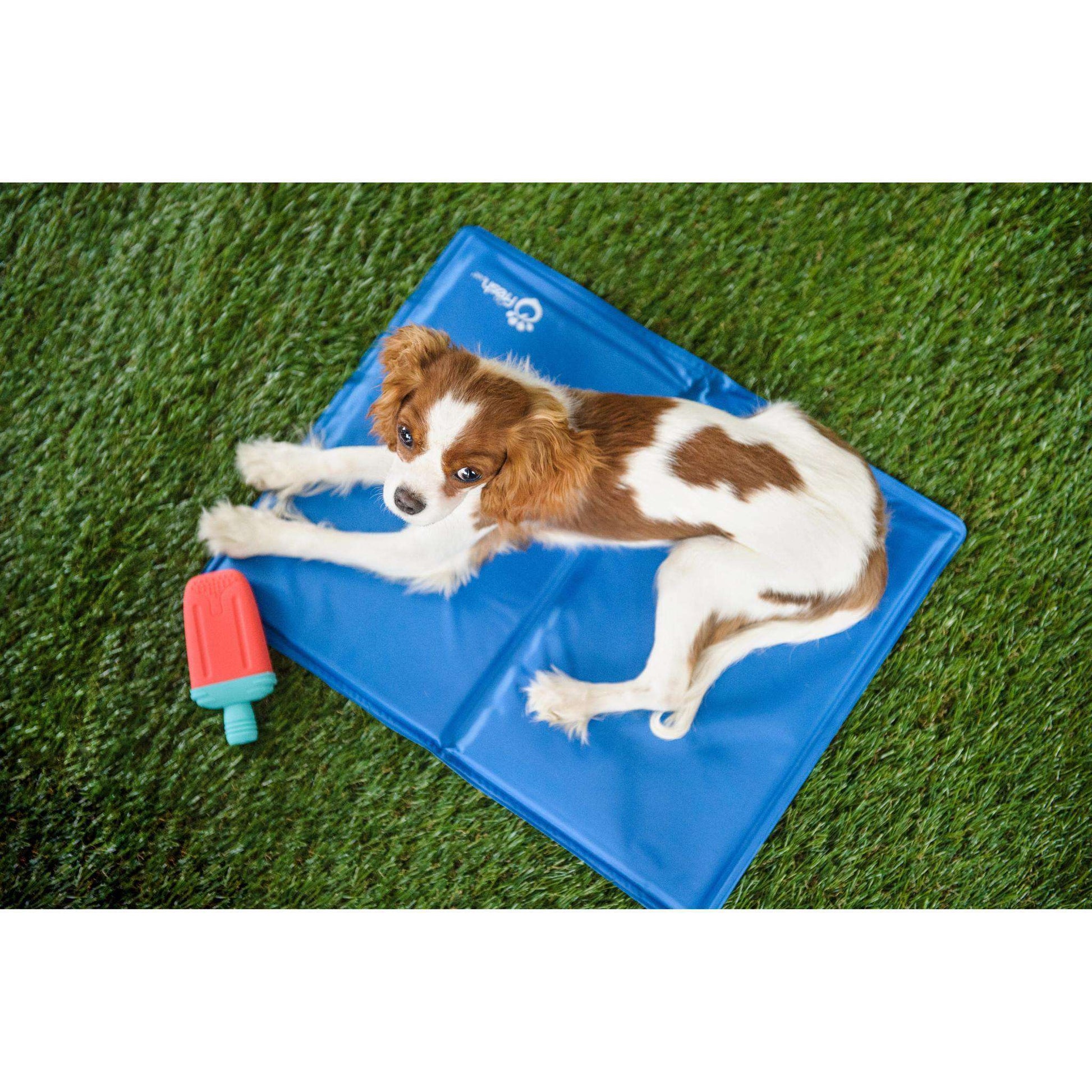 Go Fresh Pet Ice Cooling Mat - Default Title - Outdoor Gear - GF Pet - PetMax Canada