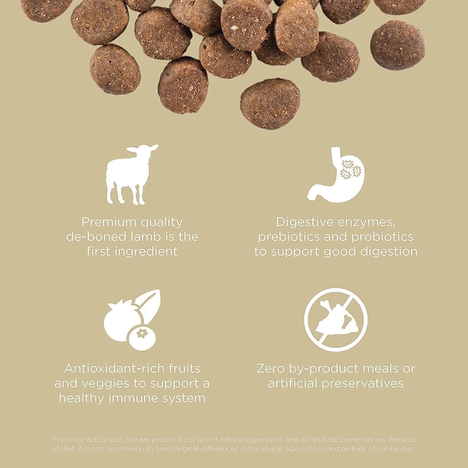 GO! CARNIVORE Grain Free Lamb + Wild Boar Recipe for dogs - 1.59 Kg - Dog Food - Go! - PetMax Canada