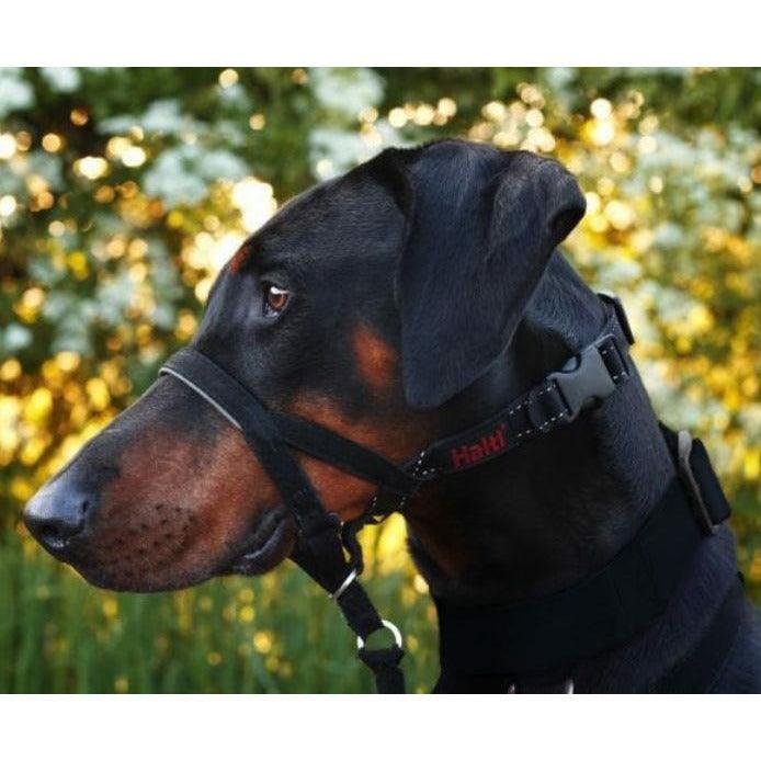 Halti Headcollar - Size 0: X-Small / Black - Training Products - The Company of Animals - PetMax Canada