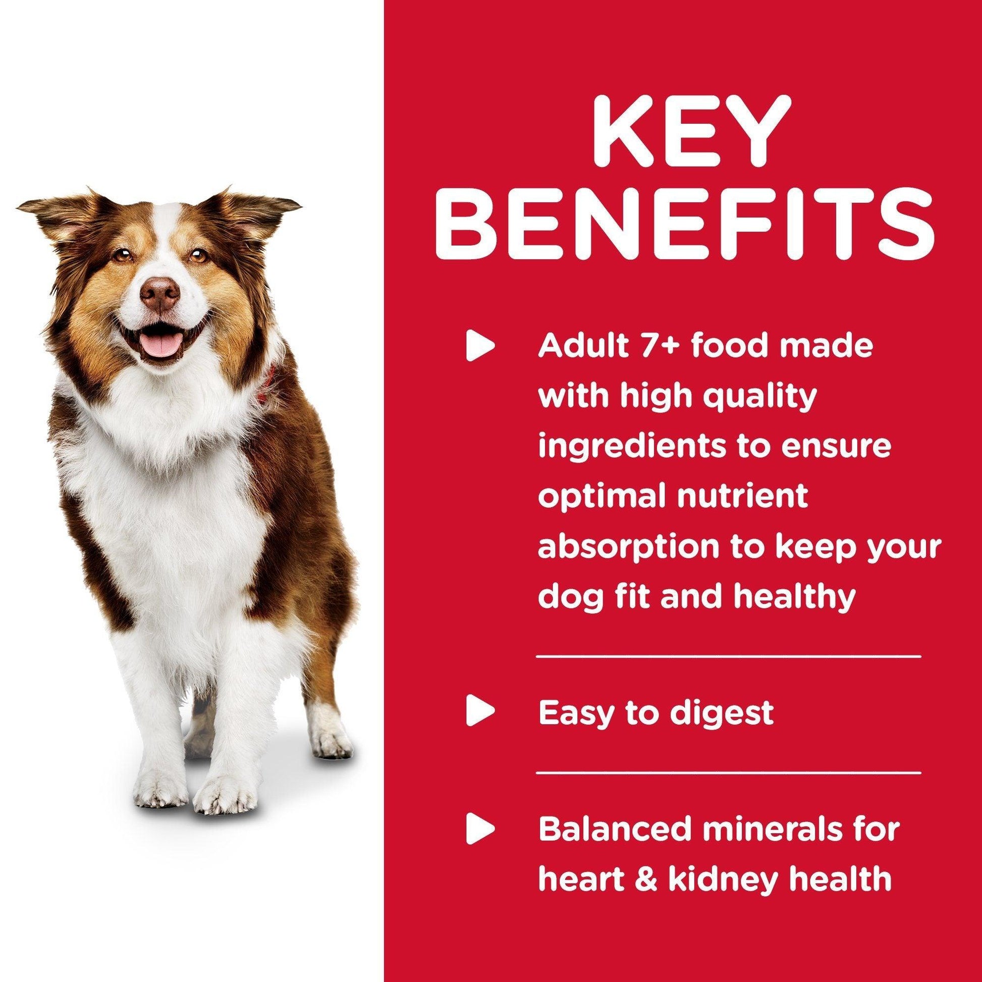 Hill's Science Diet Adult 7+ Chicken & Barley Canned Dog Food - 370g - Canned Dog Food - Hill's Science Diet - PetMax Canada