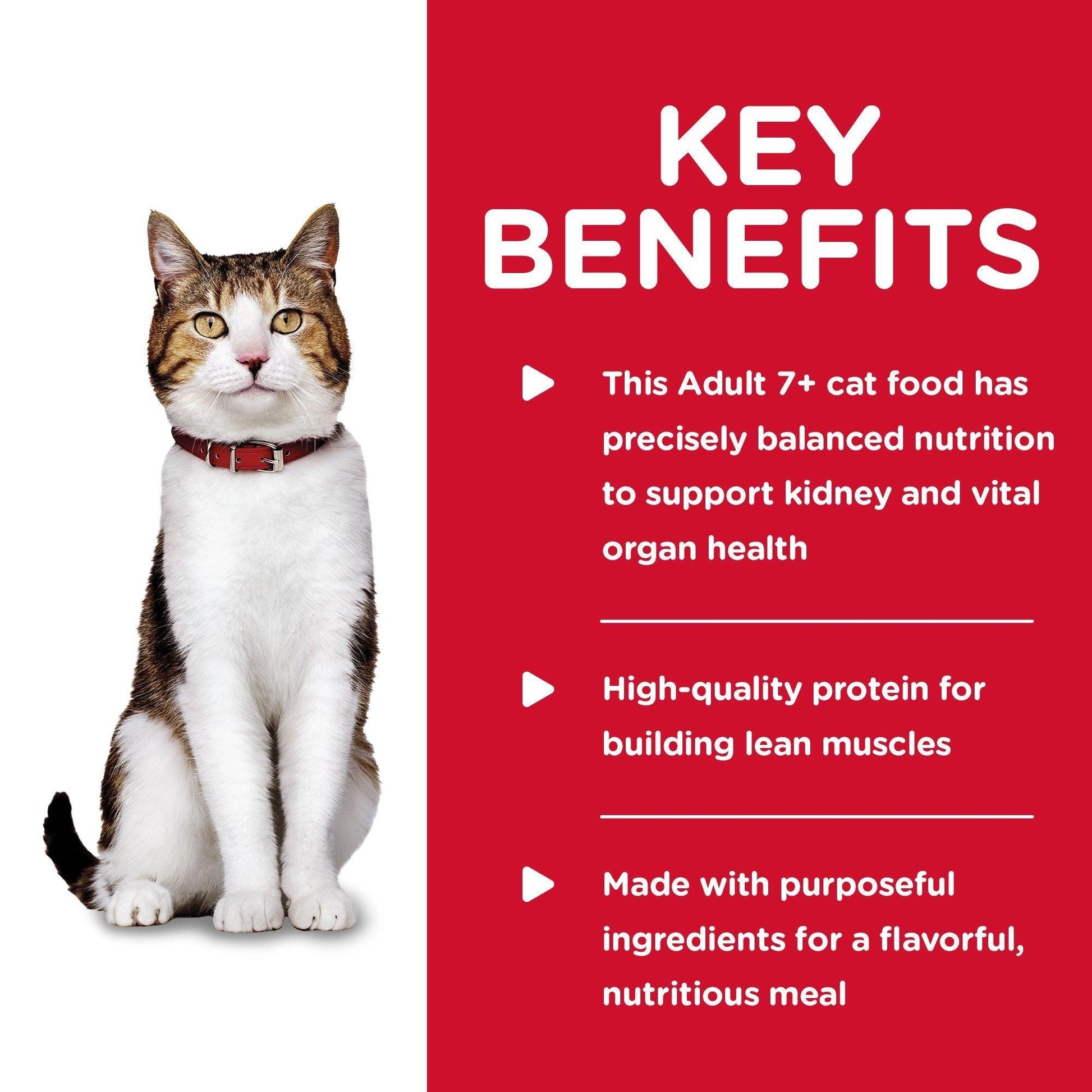 Hill's Science Diet Adult 7+ Savory Beef Canned Cat Food - 156g - Canned Cat Food - Hill's Science Diet - PetMax Canada