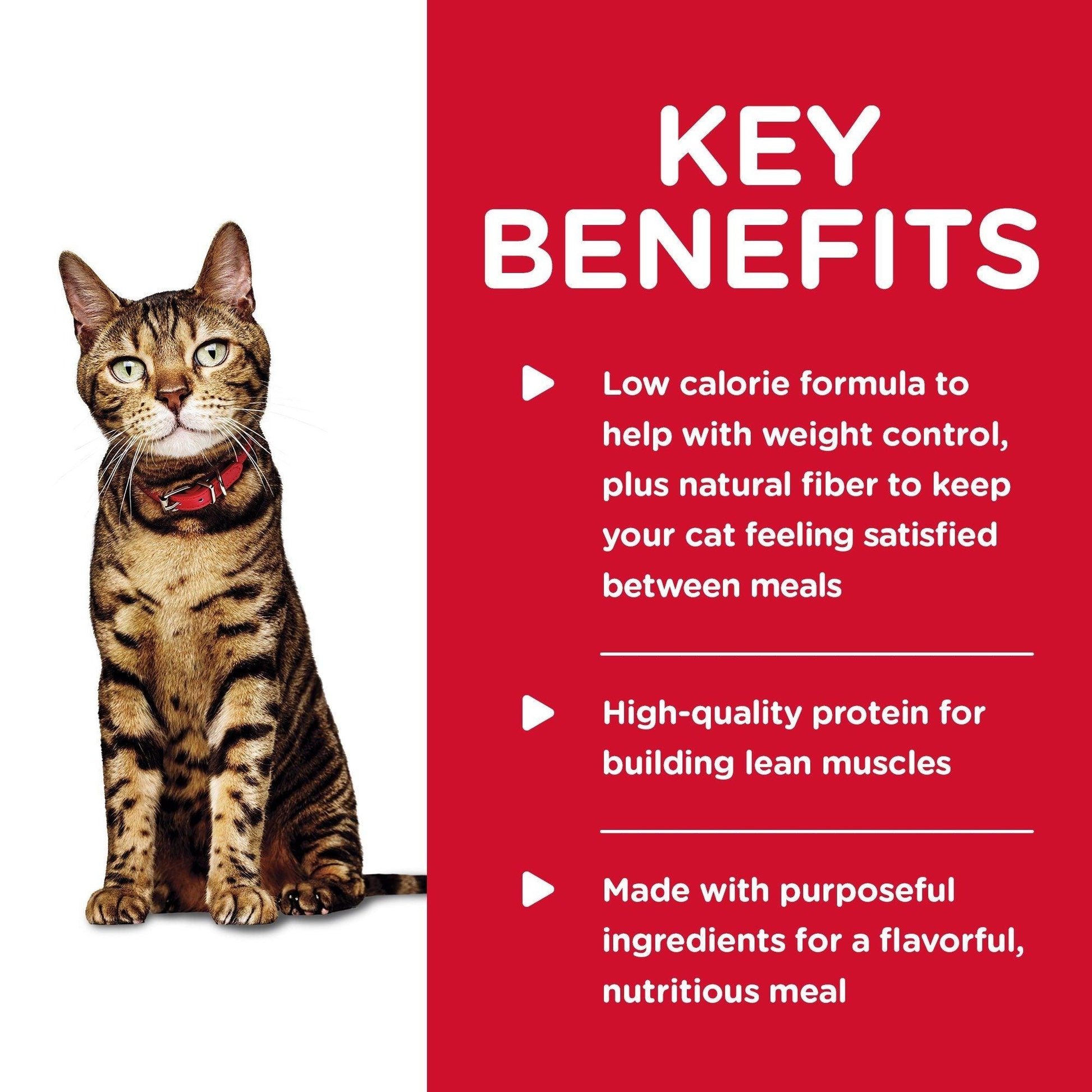 Hill's Science Diet Adult Light Liver & Chicken Canned Cat Food - 156g - Canned Cat Food - Hill's Science Diet - PetMax Canada