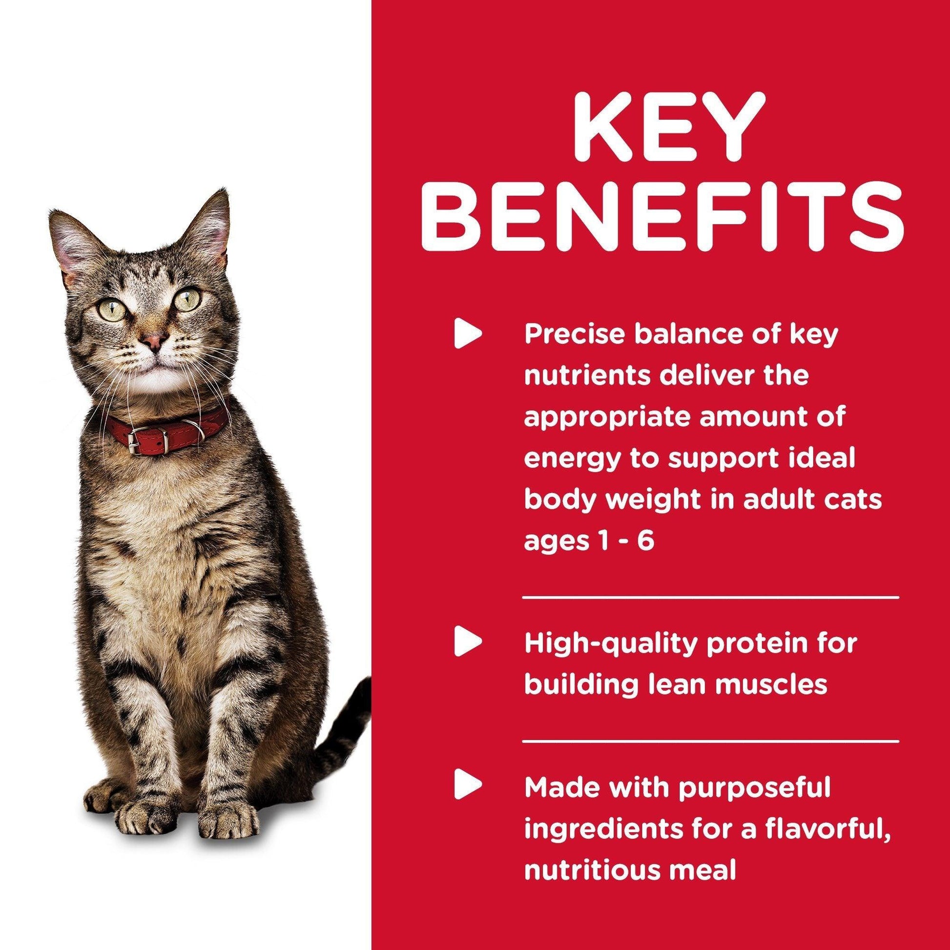 Hill's Science Diet Adult Liver & Chicken Canned Cat Food - 156g - Canned Cat Food - Hill's Science Diet - PetMax Canada