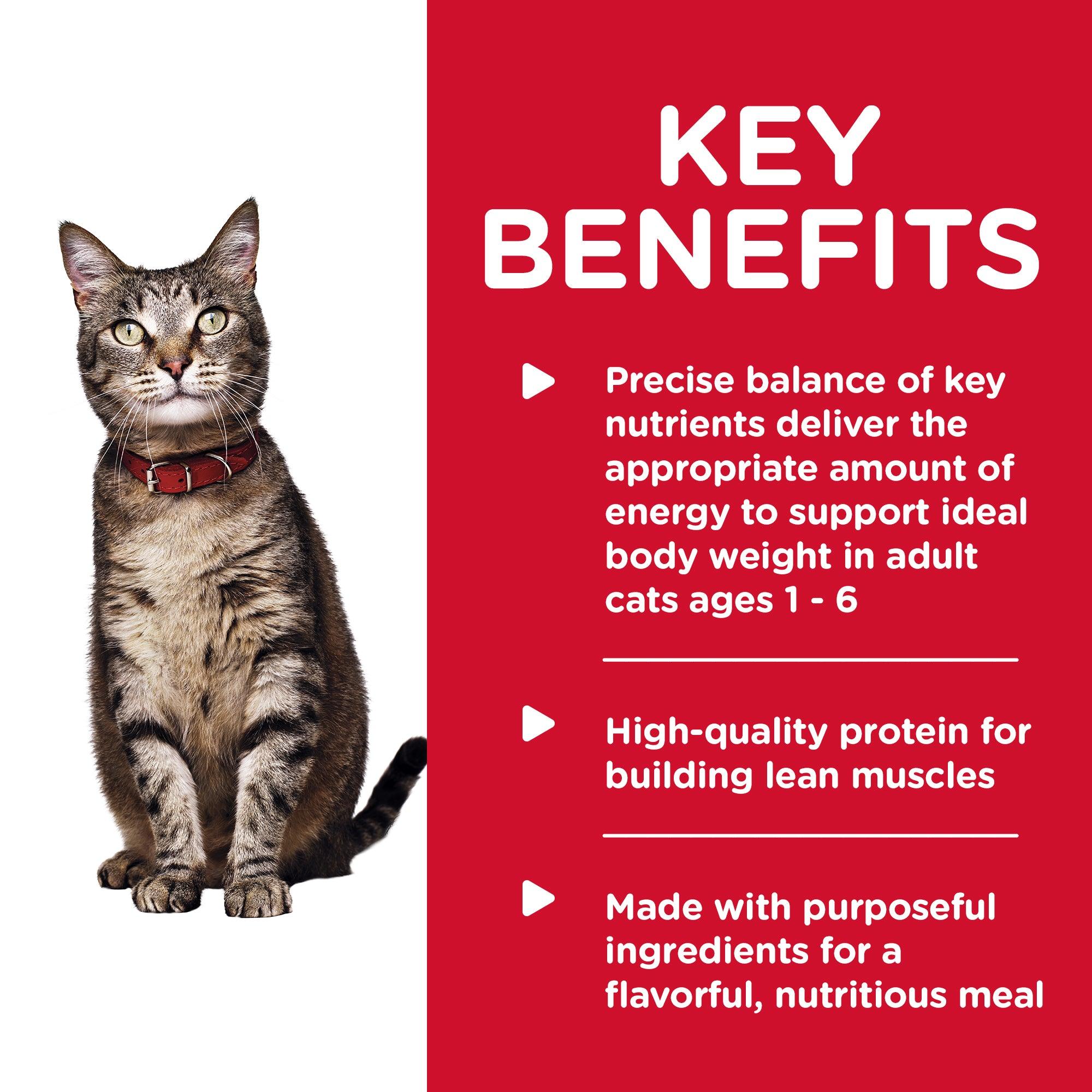 Hills balance cat food best sale