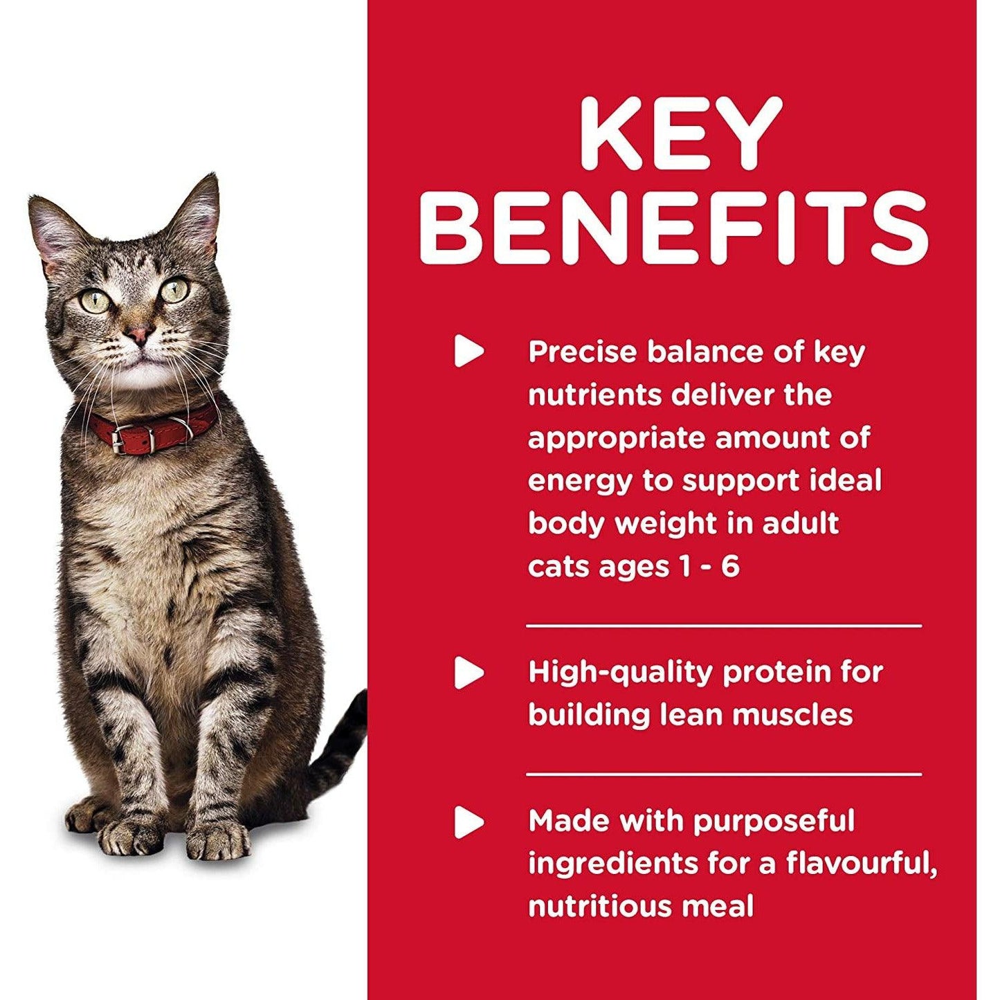 Hill's Science Diet Canned Cat Food Tender Dinners Adult Chicken - 156g - Canned Cat Food - Hill's Science Diet - PetMax Canada