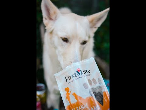 FirstMate Grain Friendly High Performance For Active Dogs