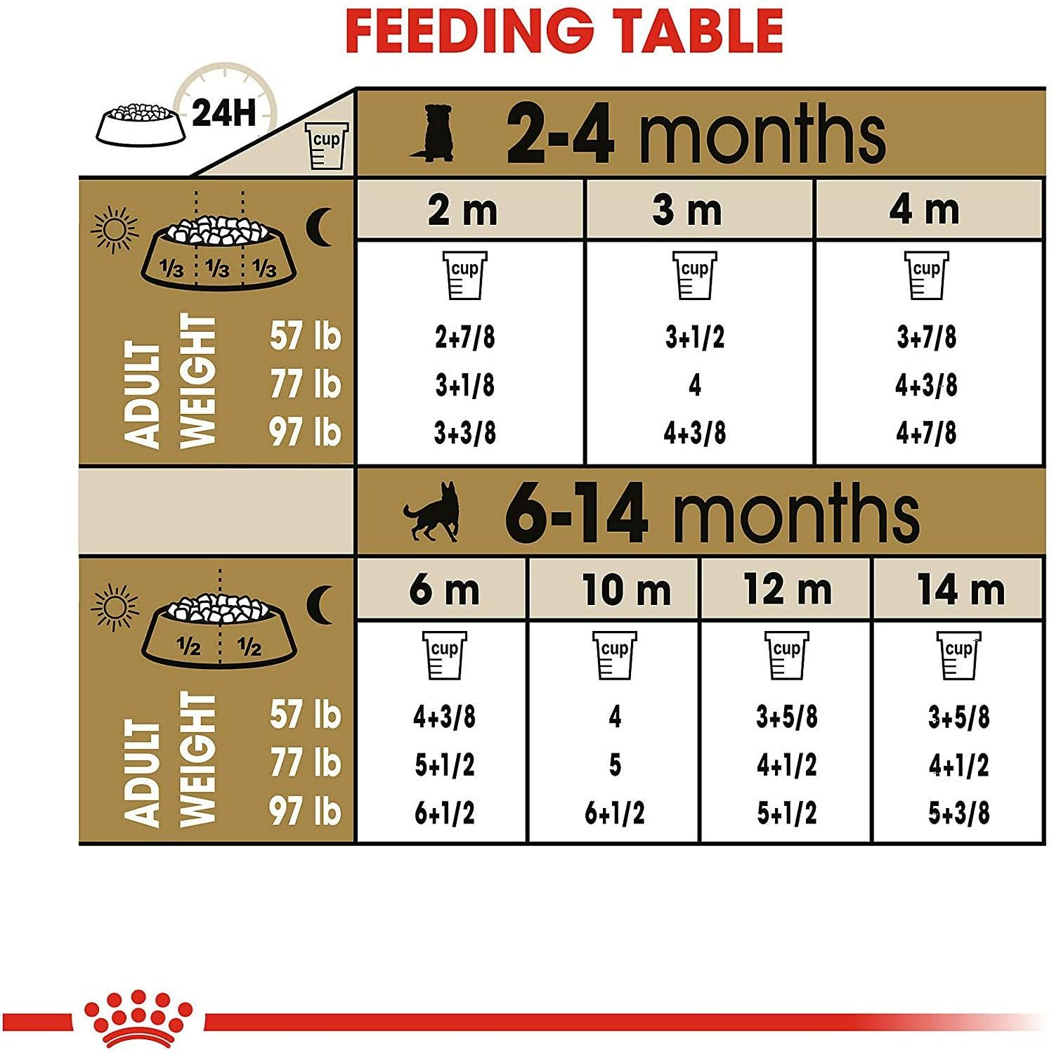 German shepherd 2025 puppy food chart