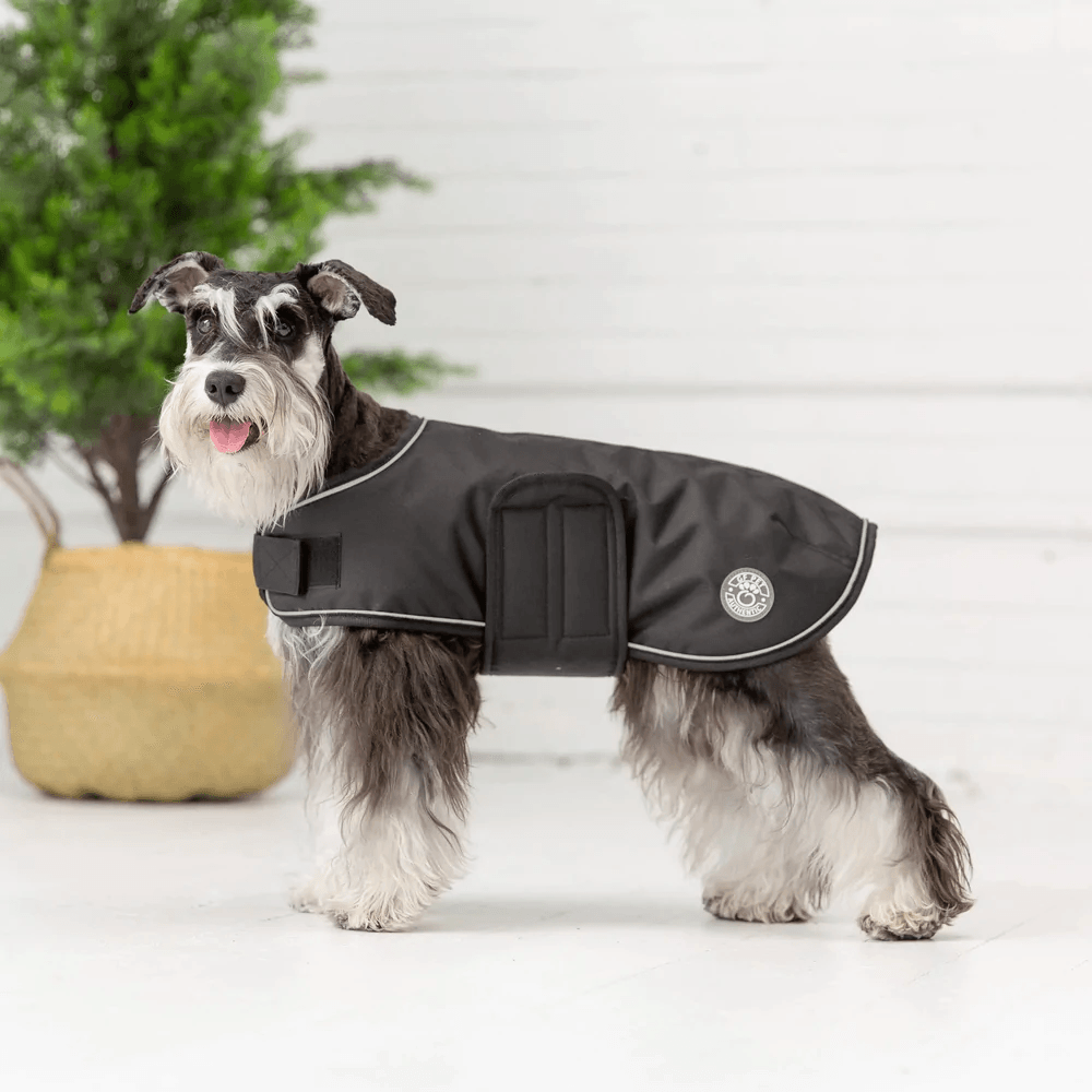 GF Pet Blanket Jacket Black For Dogs - Medium - Coats - GF Pet - PetMax Canada