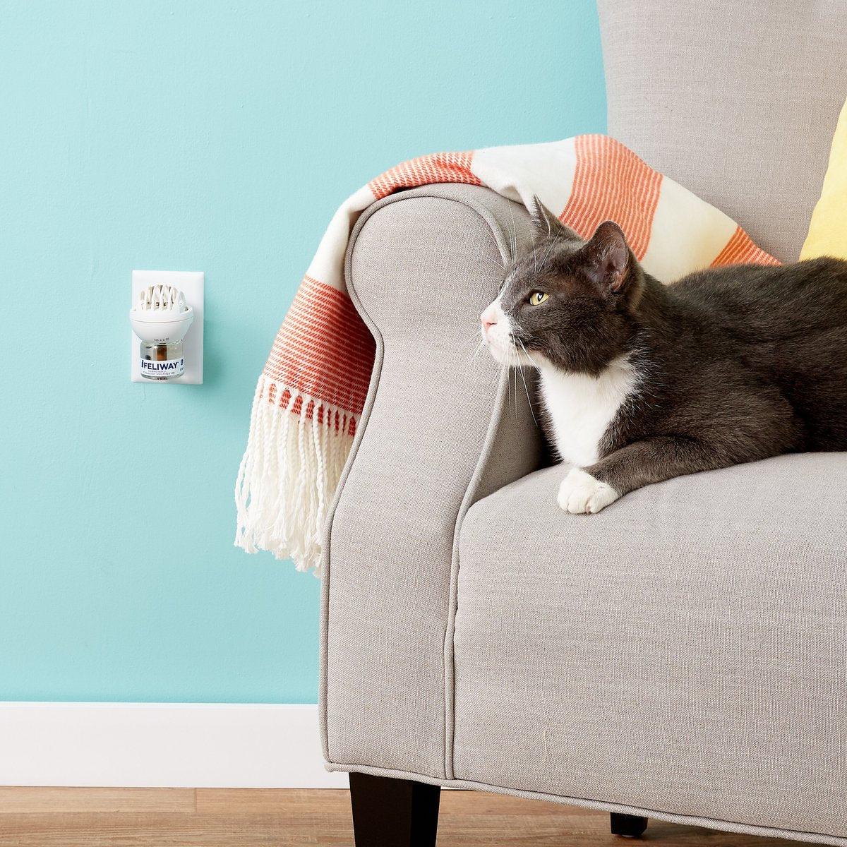 Feliway wall hotsell plug in