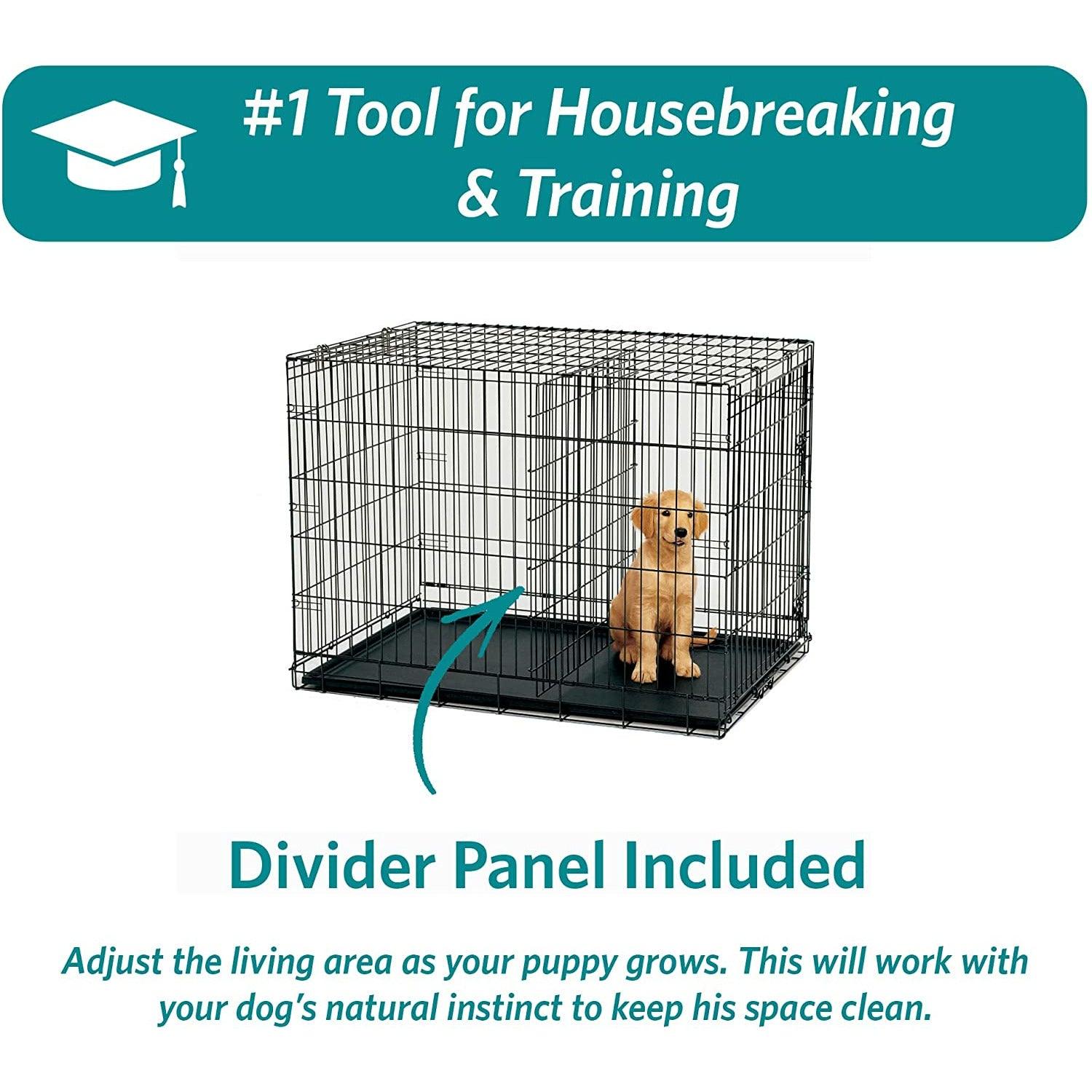 2 door dog crate with outlet divider