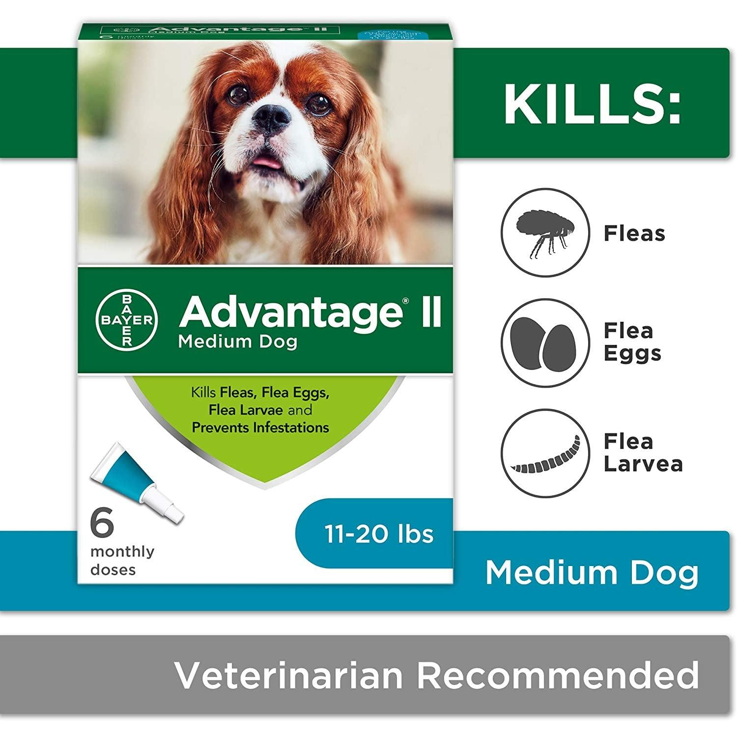 Advantage medium clearance dog