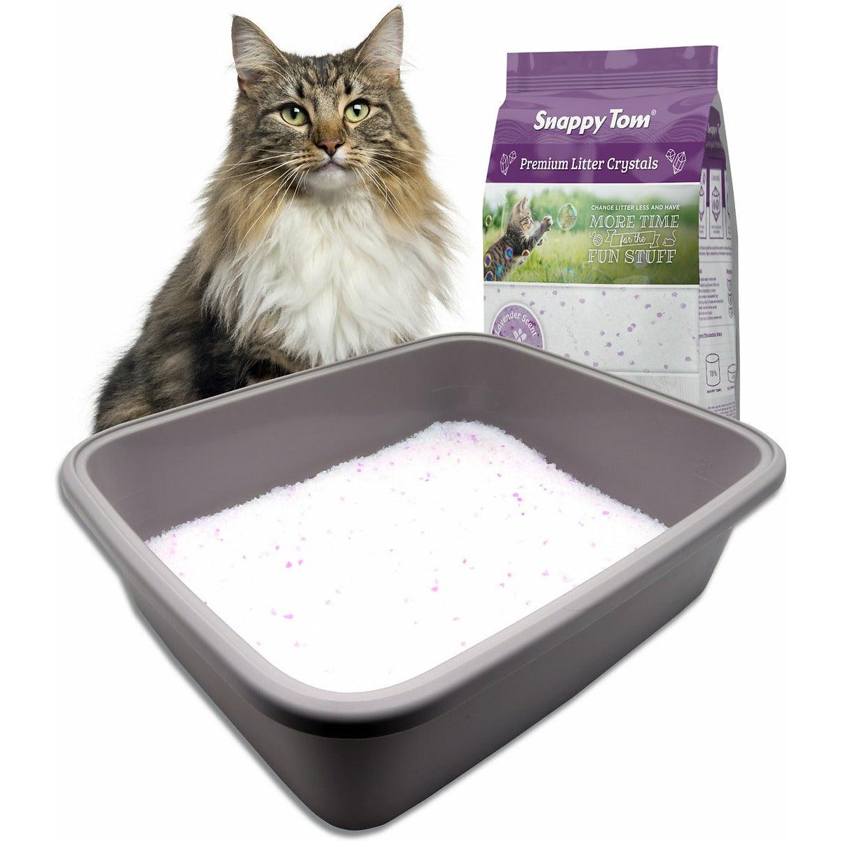 Non clumping shop cat litter canada