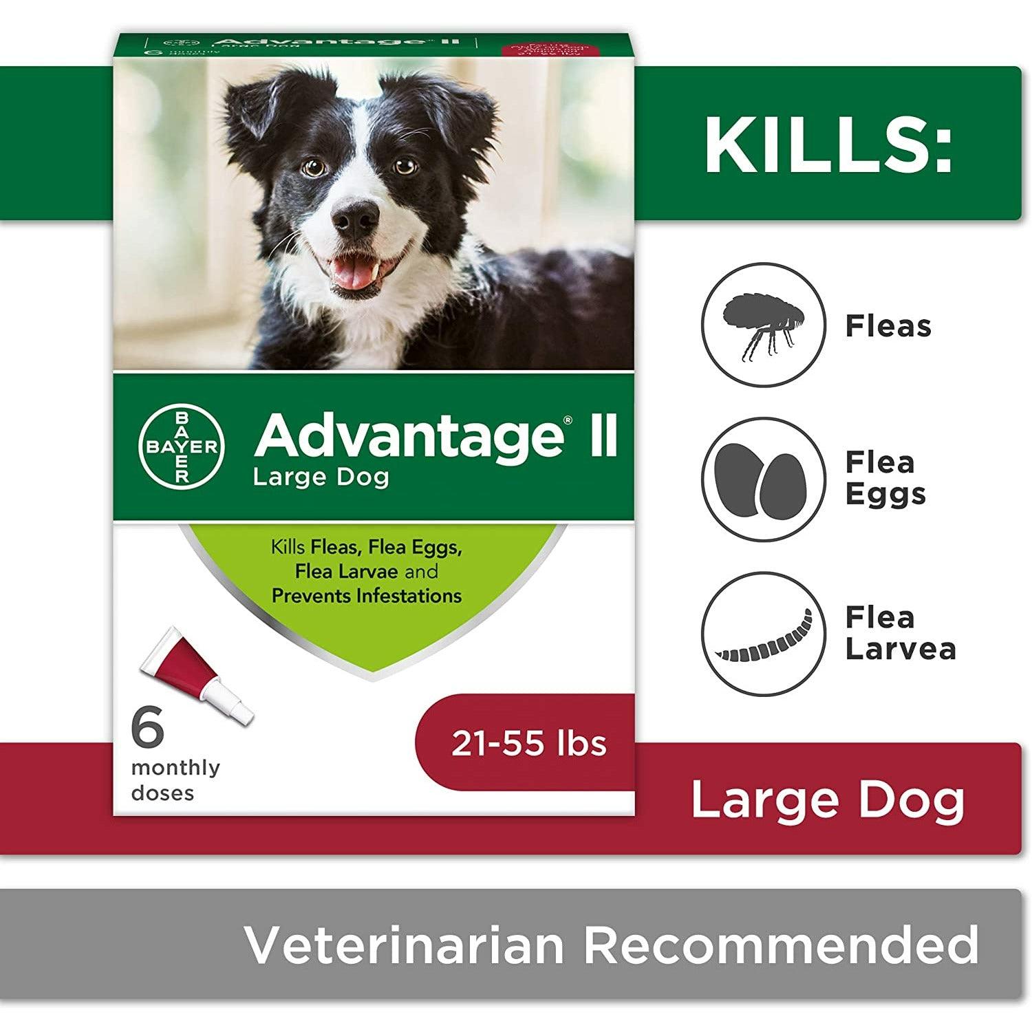 Advantage 11 2024 for large dogs