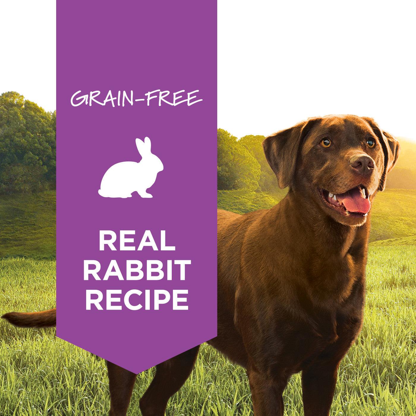 Instinct Original Real Rabbit Recipe Wet Dog Food