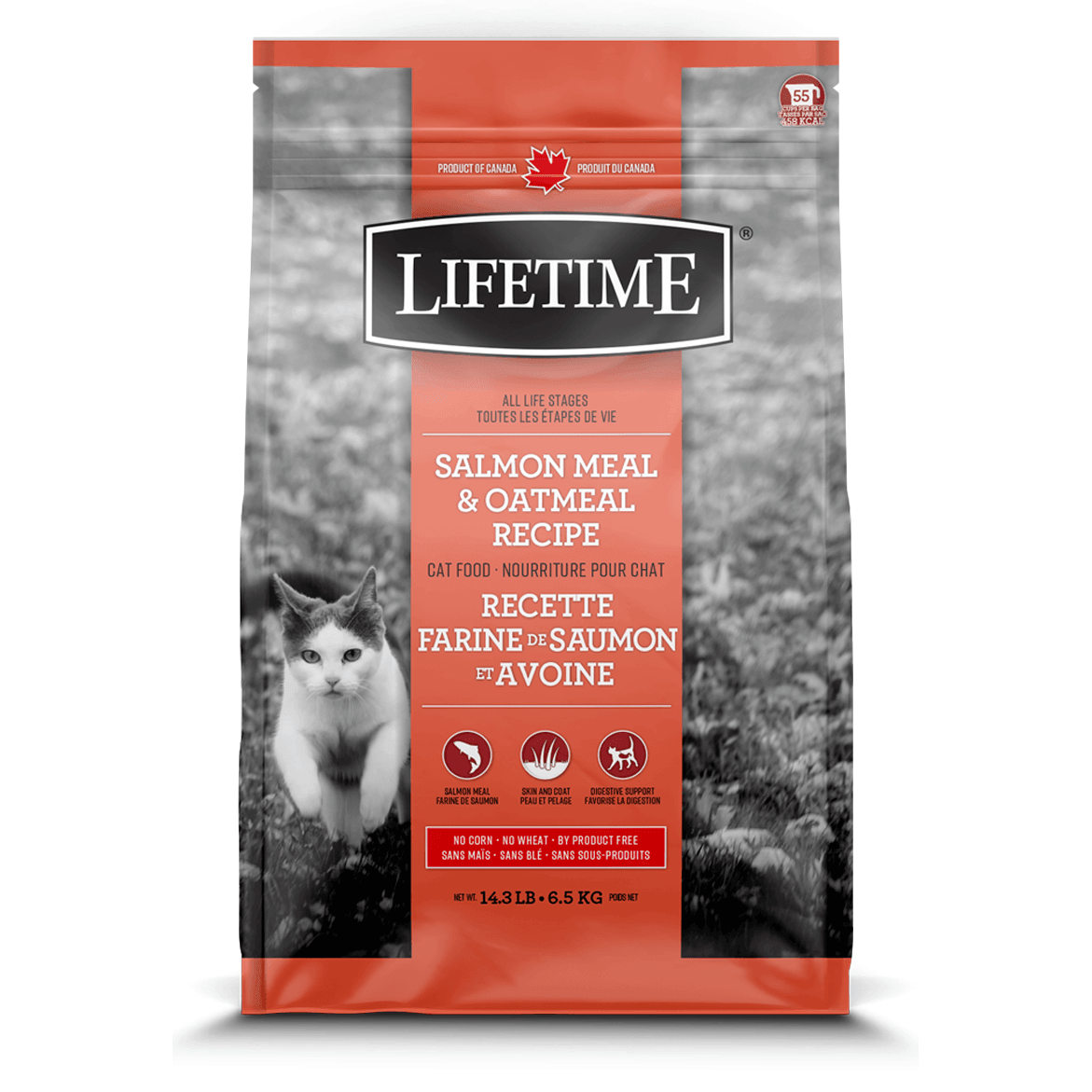 Lifetime Cat Food Salmon Meal & Oatmeal - 2.27 Kg - Cat Food - Lifetime - PetMax Canada