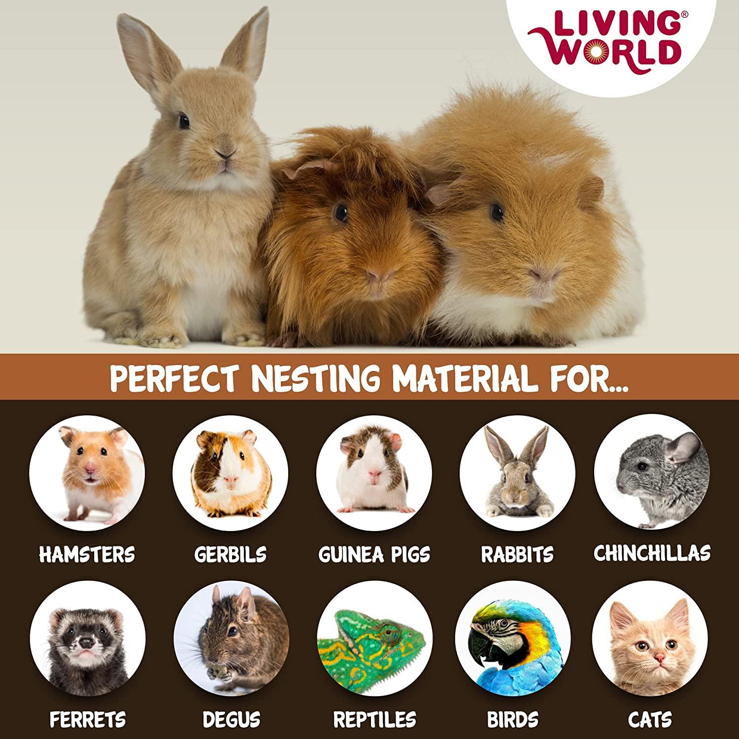 Living World Fresh'n Comfy Bedding Tan - 10L - Small Animal Litter - Living World - PetMax Canada