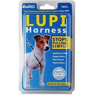 Lupi Harness - Small - Harnesses - Lupi - PetMax Canada