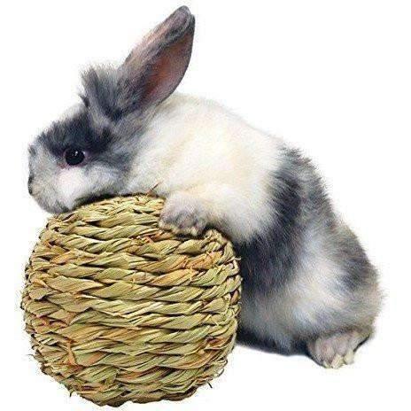 Marshall's Rabbit Woven Grass Play Ball - Default Title - Small Animal Chew Products - Marshall's - PetMax Canada