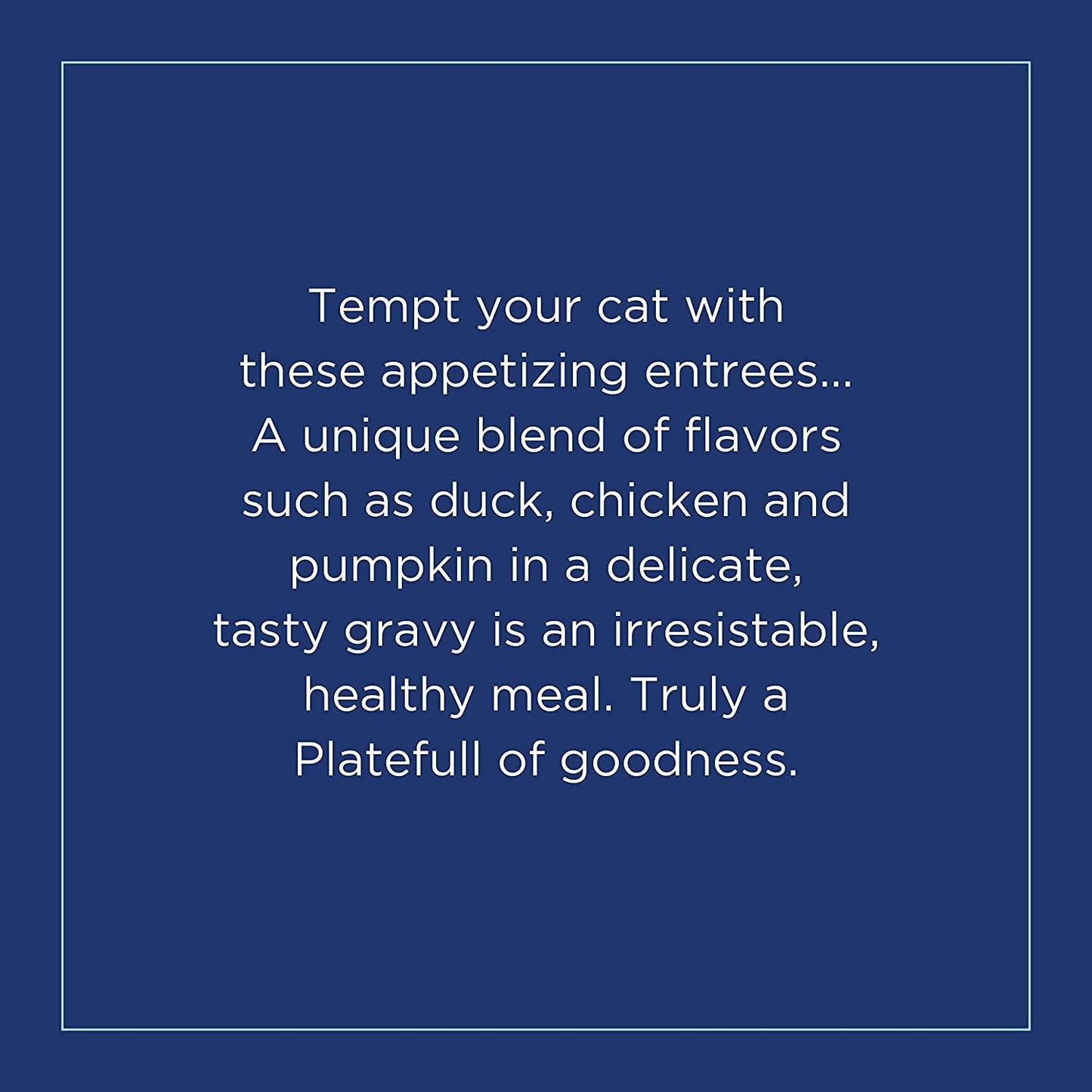 Natural Balance Platefulls Indoor Duck, Chicken & Pumpkin Wet Cat Food - 85g - Canned Cat Food - Natural Balance - PetMax Canada