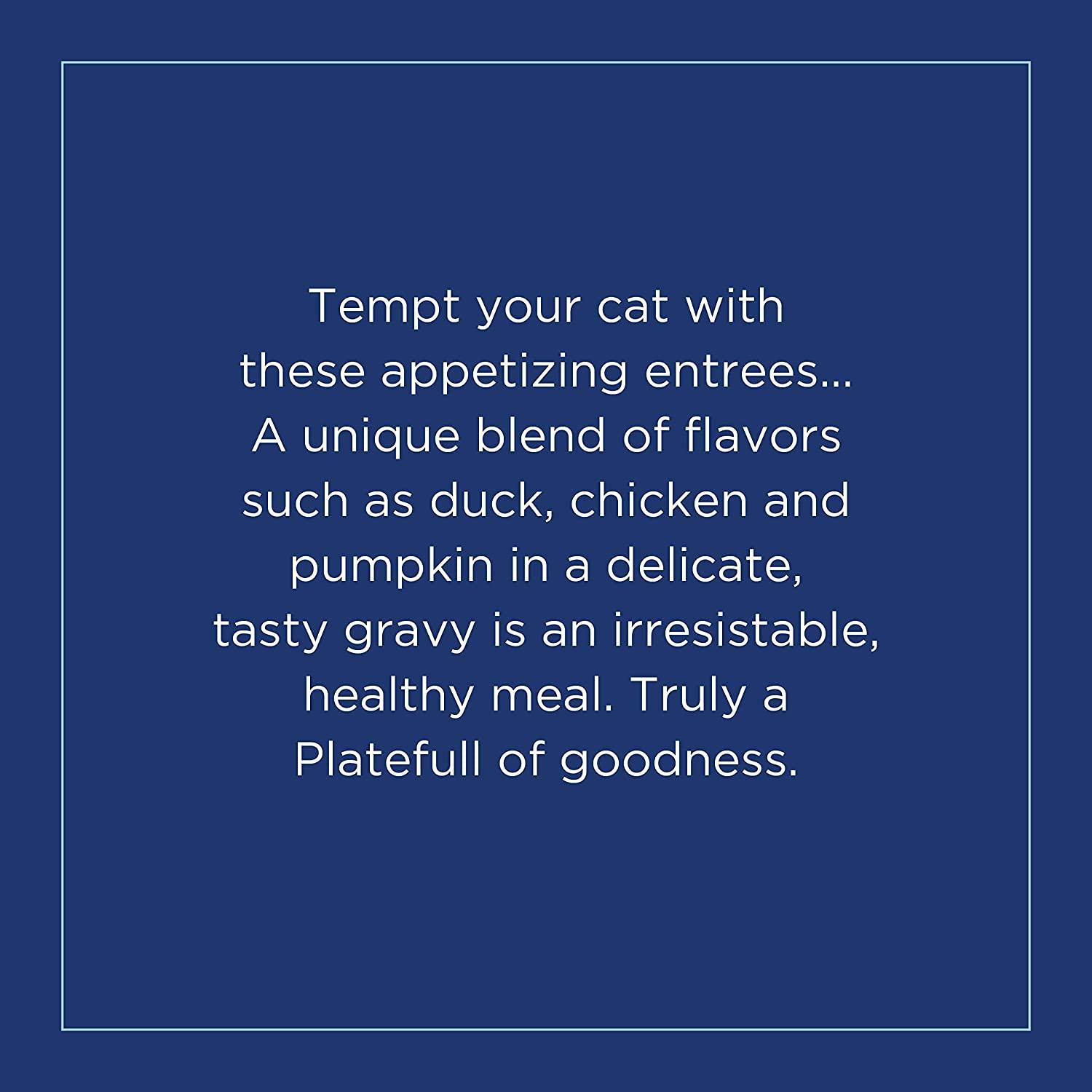 Natural Balance Platefulls Indoor Duck, Chicken & Pumpkin Wet Cat Food - 85g - Canned Cat Food - Natural Balance - PetMax Canada