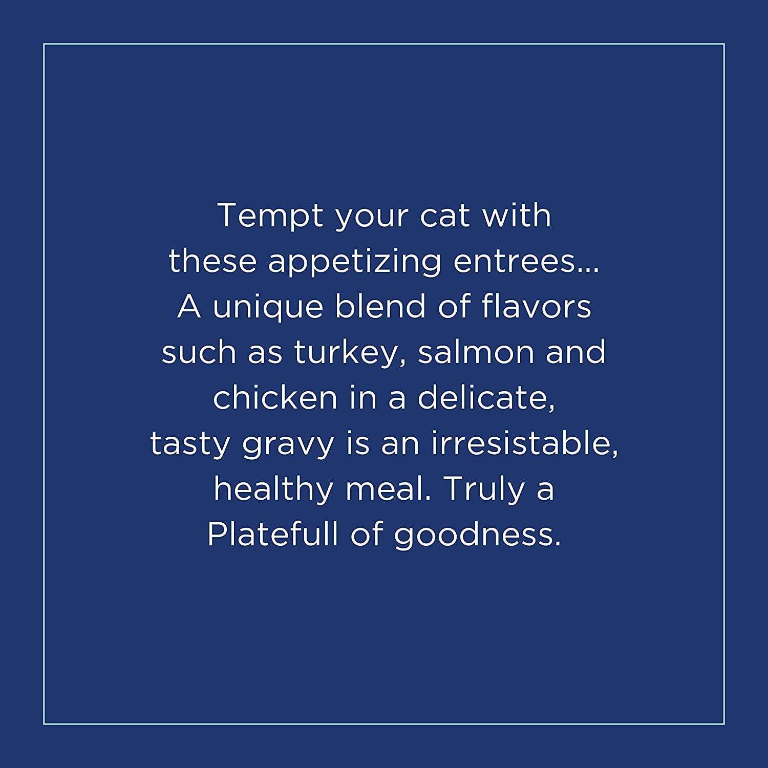 Natural Balance Platefulls Indoor Turkey, Salmon, & Chicken Wet Cat Food - 85g - Canned Cat Food - Natural Balance - PetMax Canada