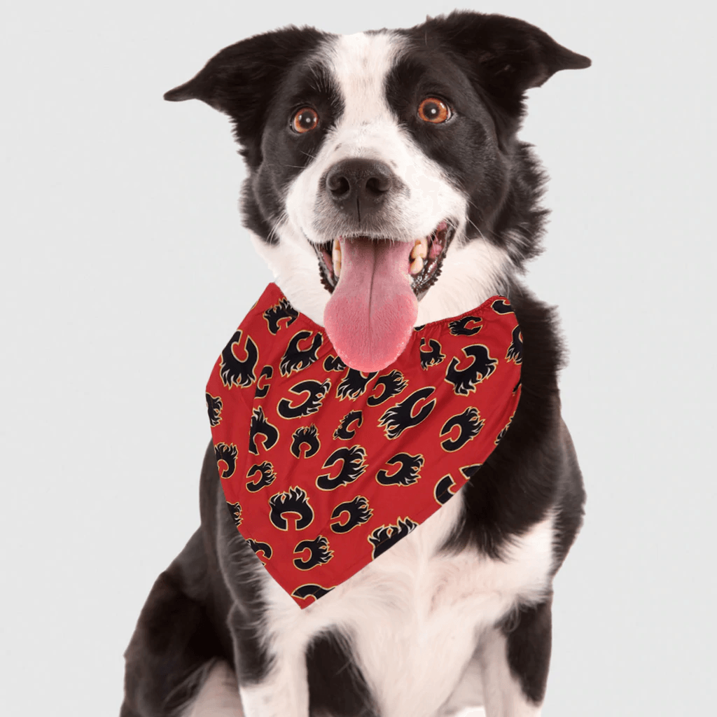 NHL Calgary Flames Dog Bandana - Small - Bandanas - NHL - PetMax Canada