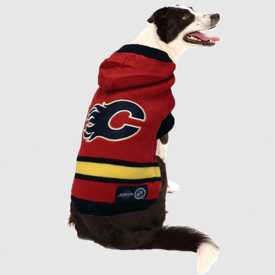 NHL Calgary Flames Hooded Dog Sweater - X-Small - NHL Sweaters - NHL - PetMax Canada