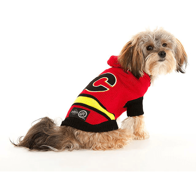 NHL Calgary Flames Hooded Dog Sweater - X-Small - NHL Sweaters - NHL - PetMax Canada