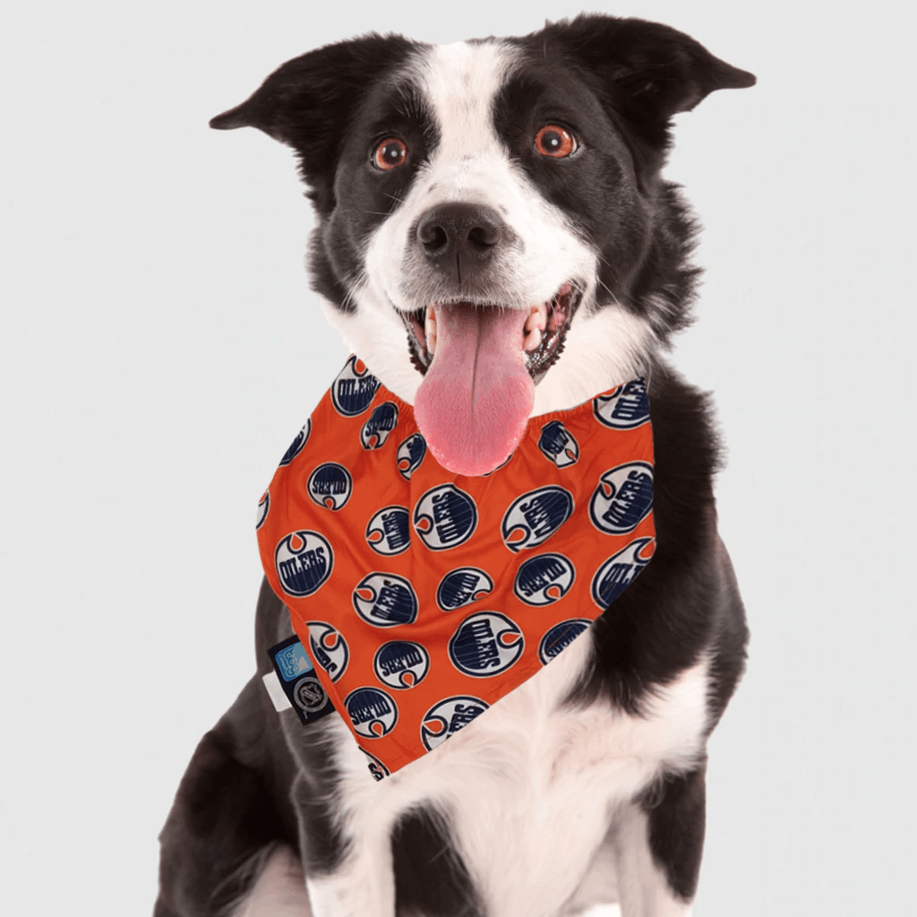 NHL Edmonton Oilers Dog Bandana - Small - Bandanas - NHL - PetMax Canada