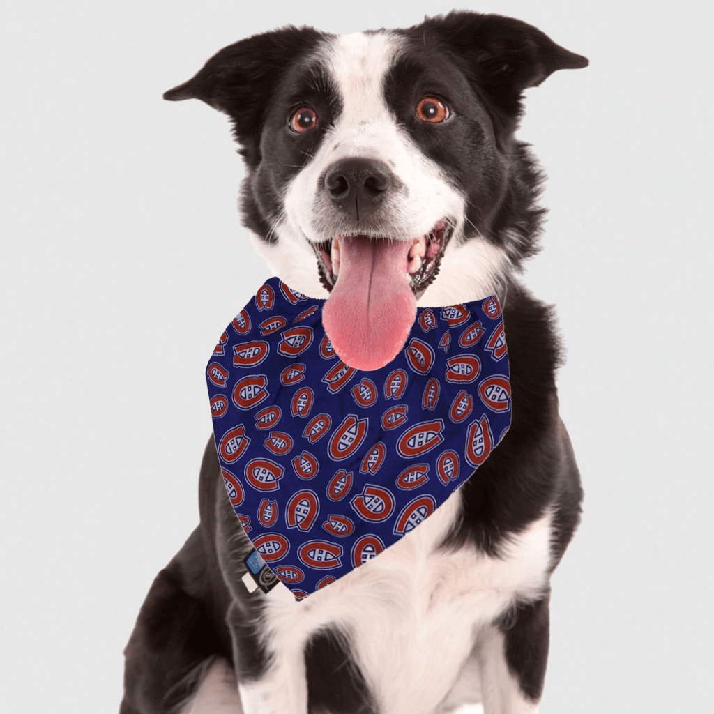 NHL Montreal Canadiens Dog Bandana - Small - Bandanas - NHL - PetMax Canada