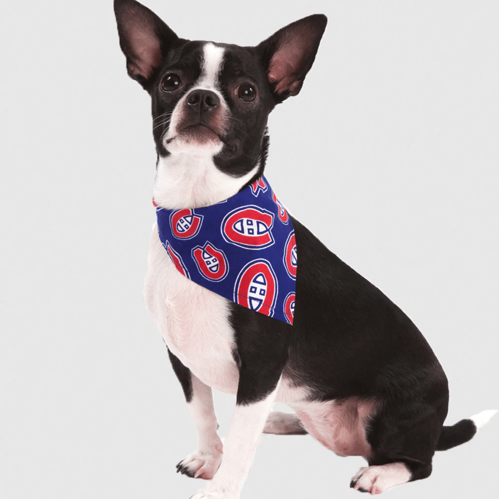 NHL Montreal Canadiens Dog Bandana - Small - Bandanas - NHL - PetMax Canada