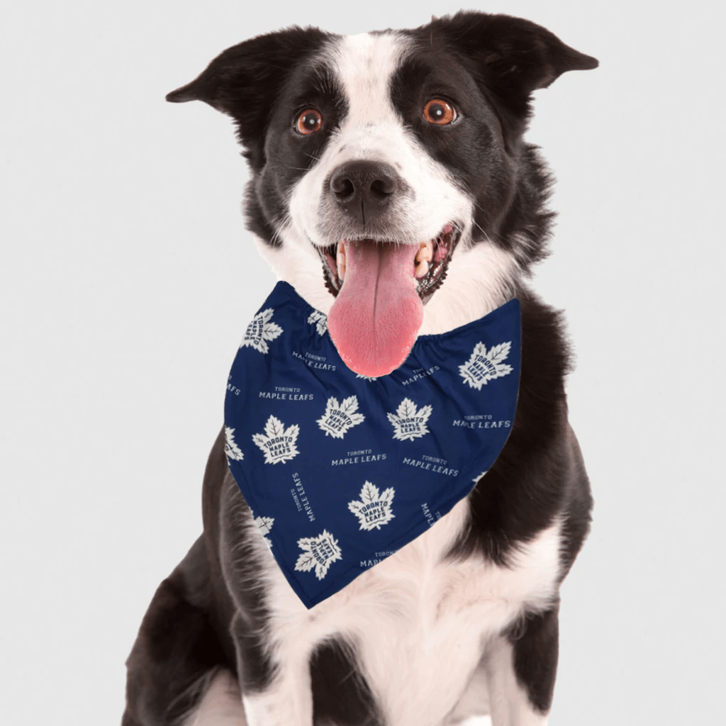 NHL Toronto Maple Leafs Dog Bandana - Small - Bandanas - NHL - PetMax Canada