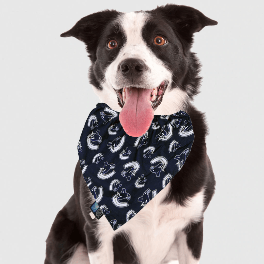 NHL Vancouver Canucks Dog Bandana - Small - Bandanas - NHL - PetMax Canada