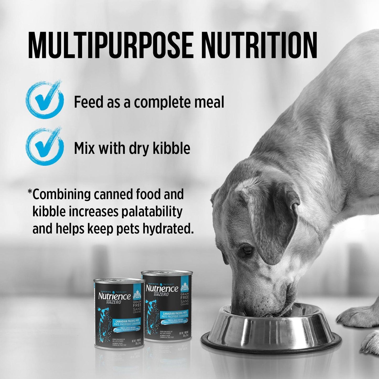 Nutrience Canned Dog Food Grain Free SubZero Canadian Pacific - 170g - Canned Dog Food - Nutrience Pet Food - PetMax Canada