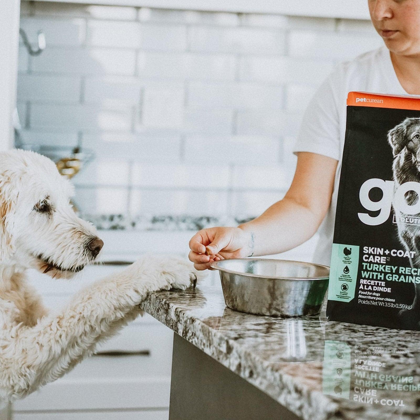 Go turkey dog food sales