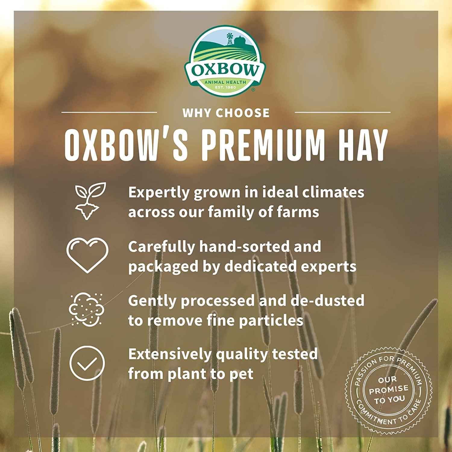 Oxbow Botanical Hay - 425g - Small Animal Food Treats - Oxbow - PetMax Canada