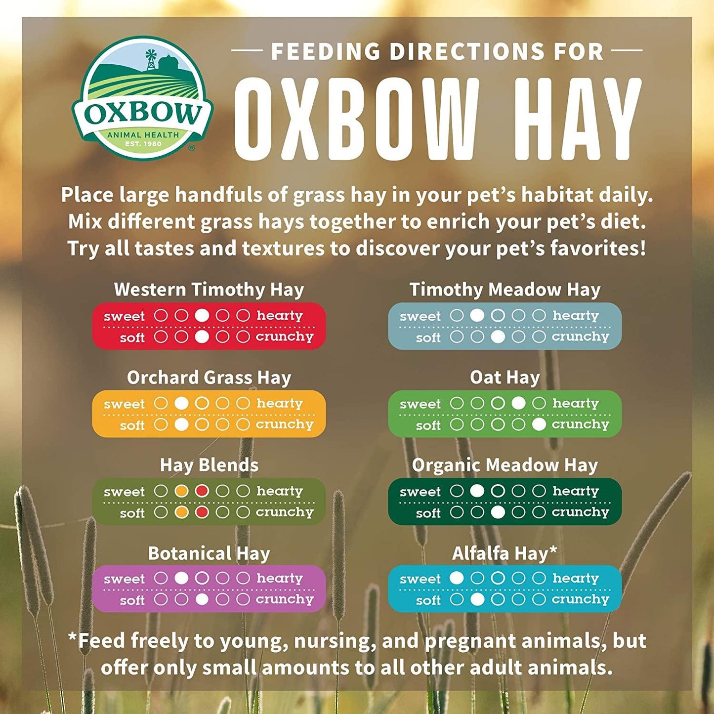 Oxbow Botanical Hay - 425g - Small Animal Food Treats - Oxbow - PetMax Canada