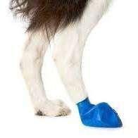 Pawz Dog Boots - Blue / Medium - Boots - Pawz - PetMax Canada