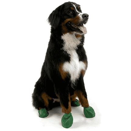 Pawz Dog Boots - Green / X-Large - Boots - Pawz - PetMax Canada