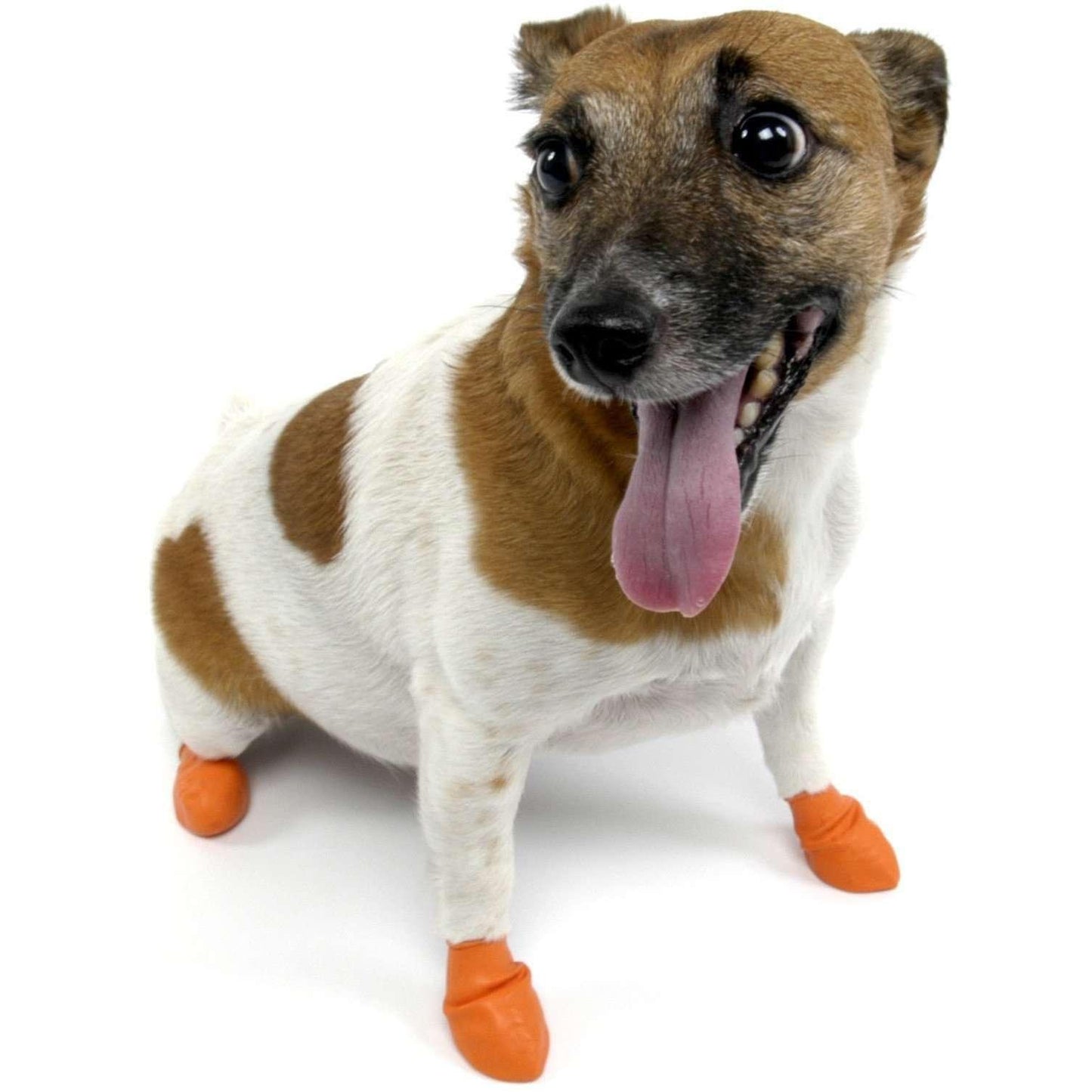 Pawz Dog Boots - Orange / X-Small - Boots - Pawz - PetMax Canada