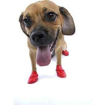 Pawz Dog Boots - Red / Small - Boots - Pawz - PetMax Canada