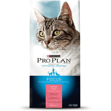 Pro Plan Indoor Dry Cat Food Salmon Rice